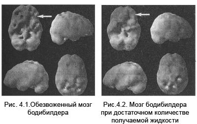 Измени мозг - изменится и тело - _18.jpg