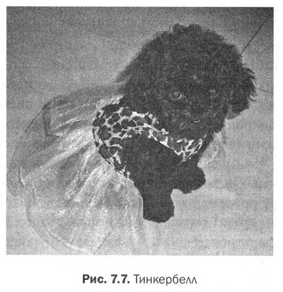 Измени мозг - изменится и тело - _29.jpg