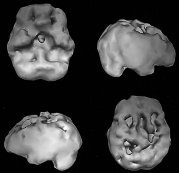 Измени свой мозг – изменится и возраст! - i_003.jpg