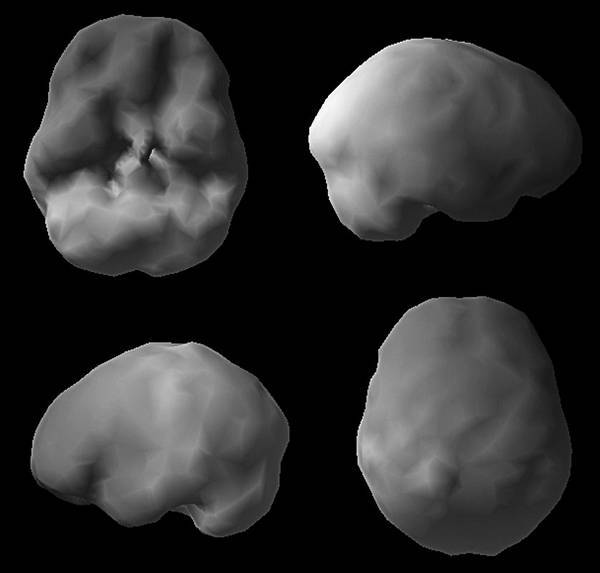 Измени свой мозг – изменится и возраст! - i_015.jpg