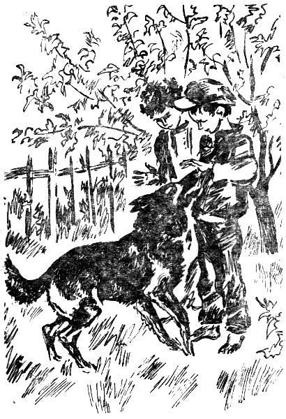 Мальчишки-ежики - i_002.jpg