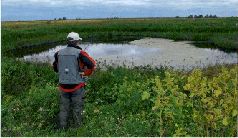 За щукой по малым водоёмам - pic_30.jpg