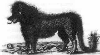 Русская народная мифология - _59.jpg