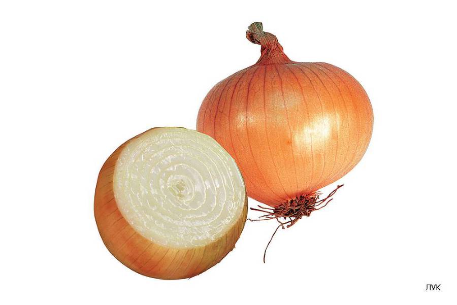 Расскажите детям об овощах - i_003.jpg