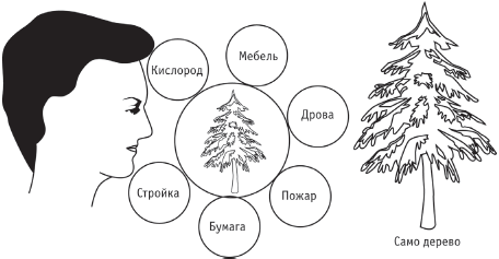Сила стихий в твоих руках. От человека до эгрегора - _01.png
