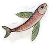 Житие святителя Иоанна Шанхайского в пересказе для детей - i_005.jpg