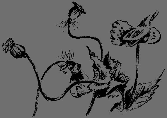 Портрет неизвестной в белом - i_5.png