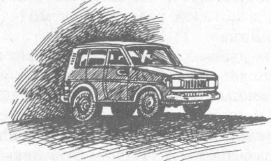 В поисках бриллиантовой диадемы - doc2fb_image_02000012.jpg