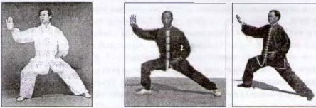 Традиционный тайцзицюань - Grabbber.jpg_38