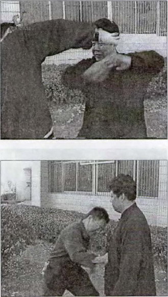 Традиционный тайцзицюань - Grabbber.jpg_45