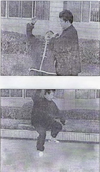 Традиционный тайцзицюань - Grabbber.jpg_47