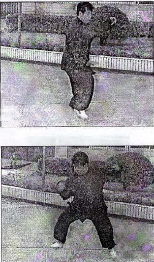 Традиционный тайцзицюань - Grabbber.jpg_49