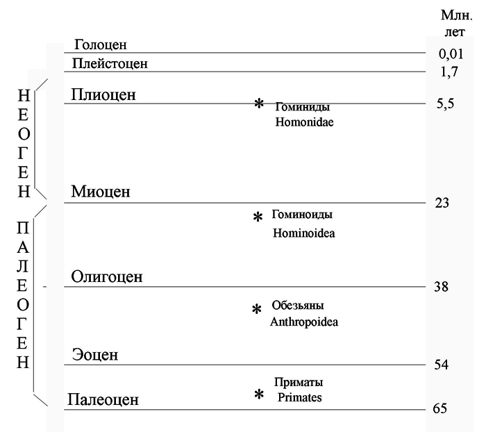 История одной случайности, или Происхождение человека - i_001.png