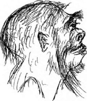 Неандертальцы: история несостоявшегося человечества - img_02_05.jpg