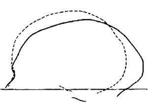 Неандертальцы: история несостоявшегося человечества - img_02_14.jpg