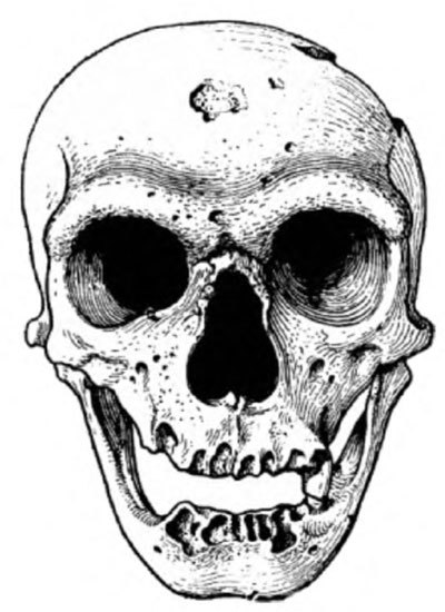 Неандертальцы: история несостоявшегося человечества - img_02_16.jpg