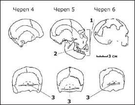 Неандертальцы: какими они были, и почему их не стало - doc2fb_image_02000014.jpg