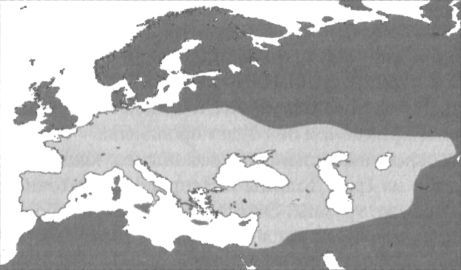 Человек в лабиринте эволюции - pic_26.jpg