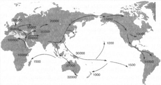 Человек в лабиринте эволюции - pic_36.jpg