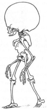 Человек в лабиринте эволюции - pic_37.jpg