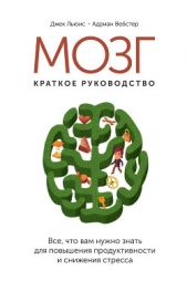  Вебстер Адриан - Мозг: краткое руководство. Все, что вам нужно знать для повышения эффективности и снижения стресса