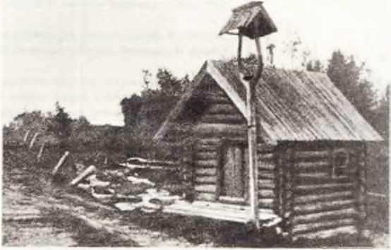 Мир истории: Россия в XVII столетии - i_262.jpg