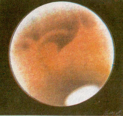 Азбука звездного неба. Часть 2 - _106.jpg