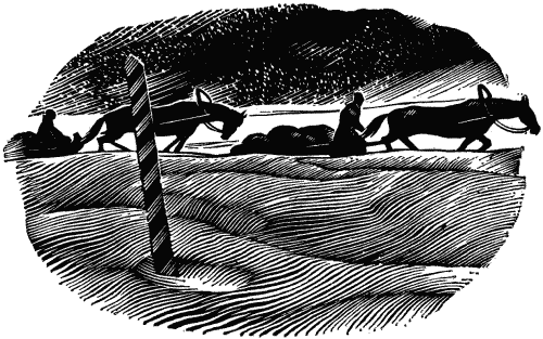 Жизнь Никитина - i_001.png