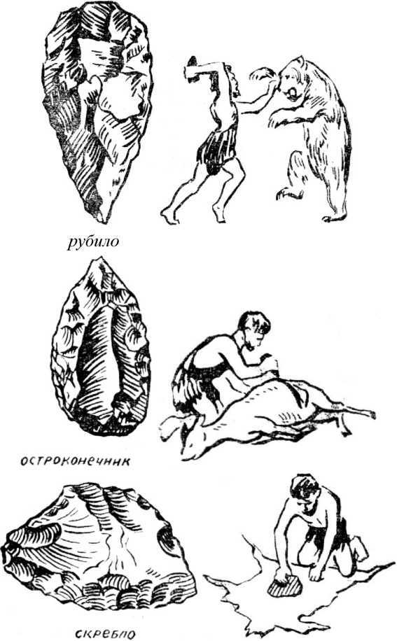 Язык и разум человека - _25.jpg