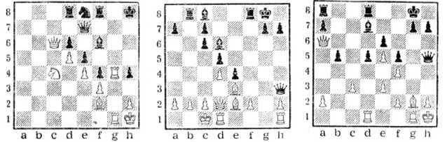 Язык и разум человека - _9.jpg