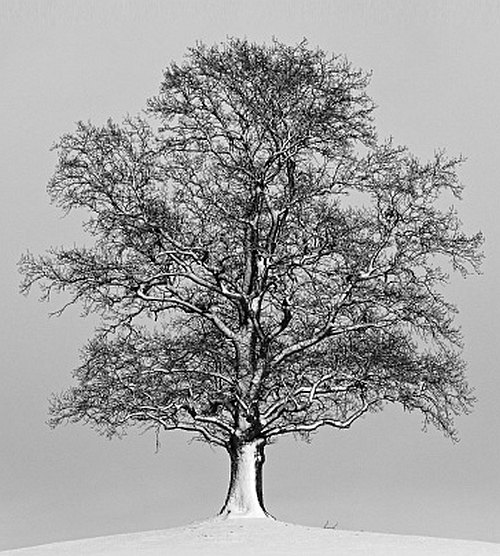 Нескончаемая встреча - i_002.jpg