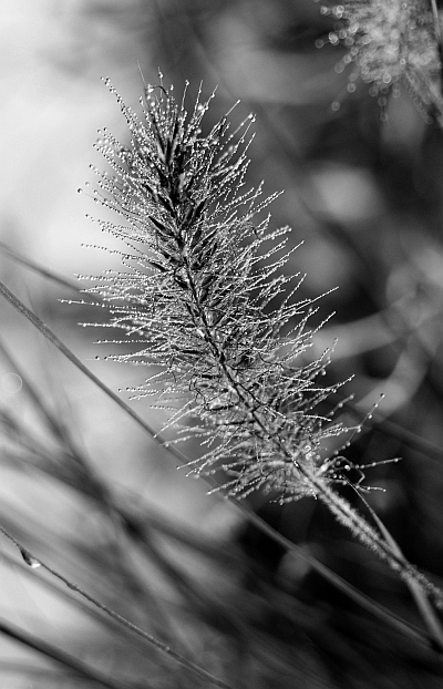 Нескончаемая встреча - i_003.jpg