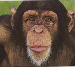 Голый мужчина - doc2fb_image_0200001F.jpg