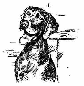 Жизнь собачья и кошачья. Повести и рассказы - pic_1.jpg