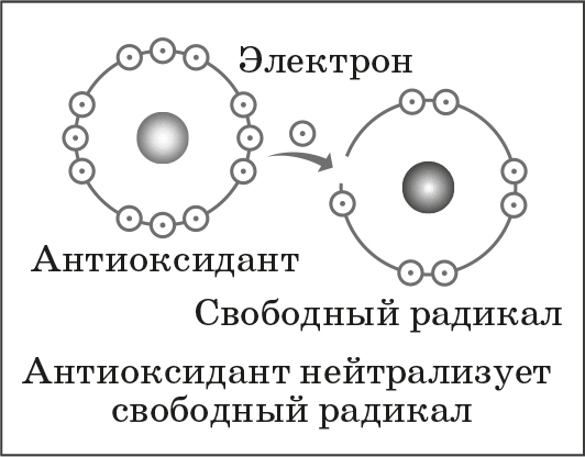 Как обмануть возраст. Секреты молодости и красоты от лучшего пластического хирурга Америки - i_004.png