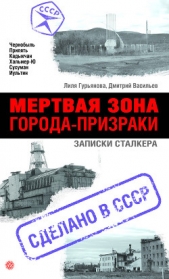  Мертвая зона. Города-призраки: записки Сталкера - автор Васильев Дмитрий 