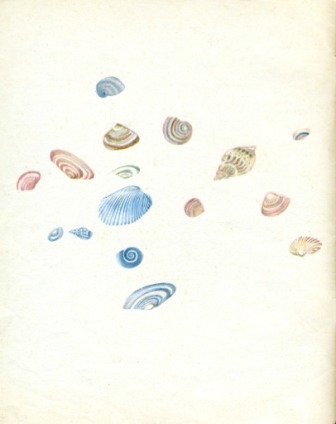 У южного моря - img_1.jpg