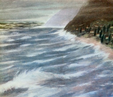 У южного моря - img_12.jpg