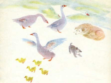 У южного моря - img_9.jpg