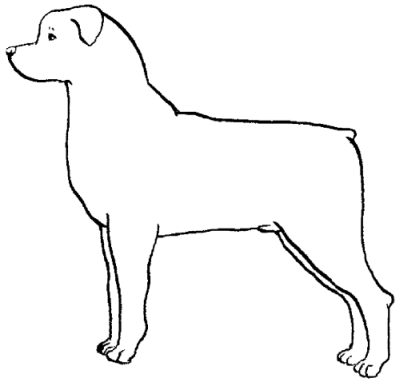 Ротвейлеры - _19.png