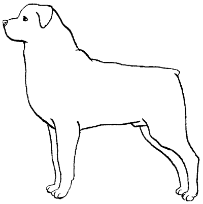 Ротвейлеры - _20.png