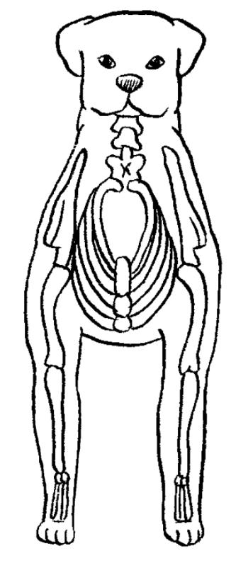Ротвейлеры - _26.png