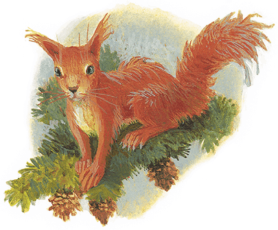 Жук на ниточке (сборник) - i_004.png