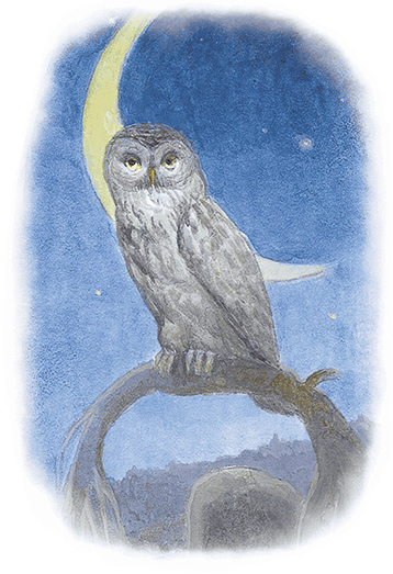 Жук на ниточке (сборник) - i_007.png