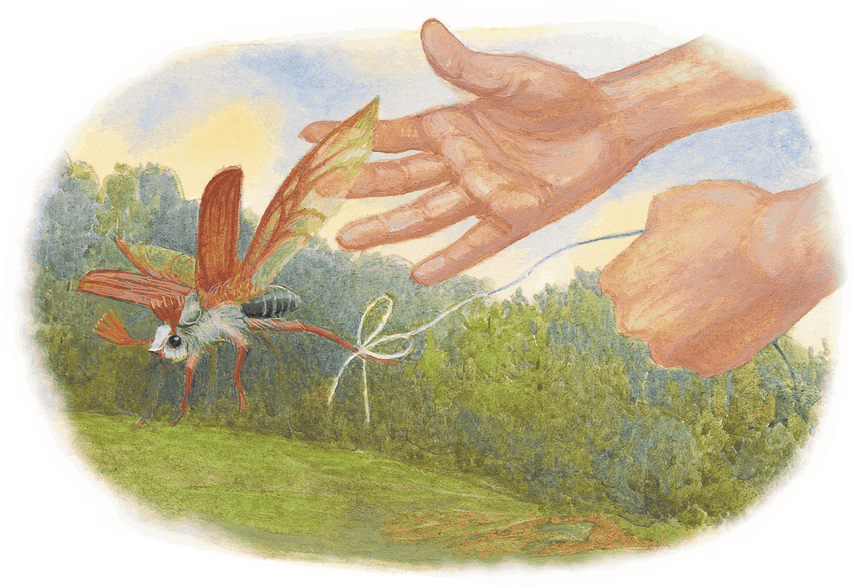 Жук на ниточке (сборник) - i_008.png