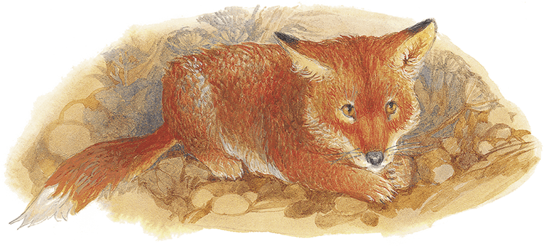 Жук на ниточке (сборник) - i_009.png