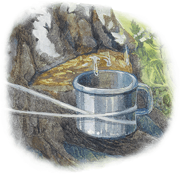 Жук на ниточке (сборник) - i_012.png