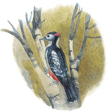 Жук на ниточке (сборник) - i_015.png