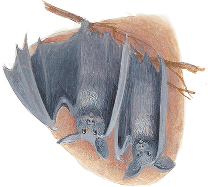 Жук на ниточке (сборник) - i_017.png