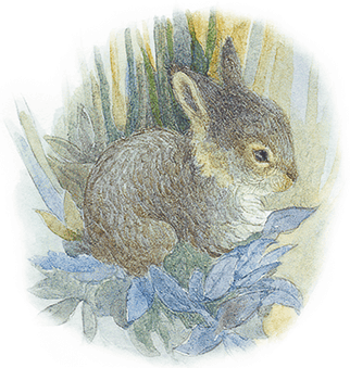 Жук на ниточке (сборник) - i_018.png